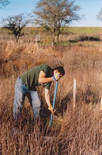Volunteering for the Laguna de Santa Rosa