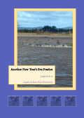 Another New Year's Eve Freshet